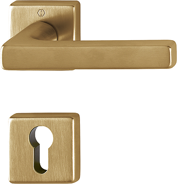 Ensemble de porte Dallas M1643/843K/843KS