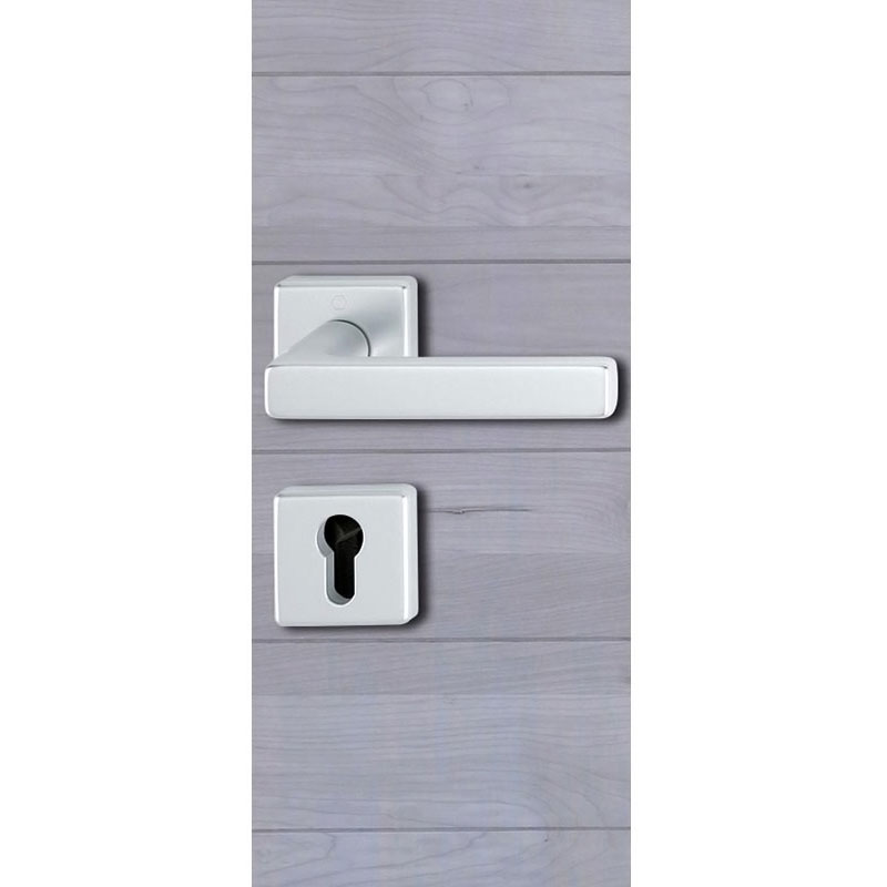 Ensemble de porte Dallas 1643/52K/52KS