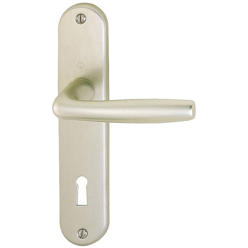 Ensemble de porte Roissy 1941/347 - HOPPE